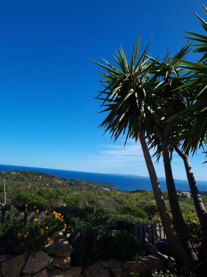 Casabellavista * Bonifacio (Corsica)