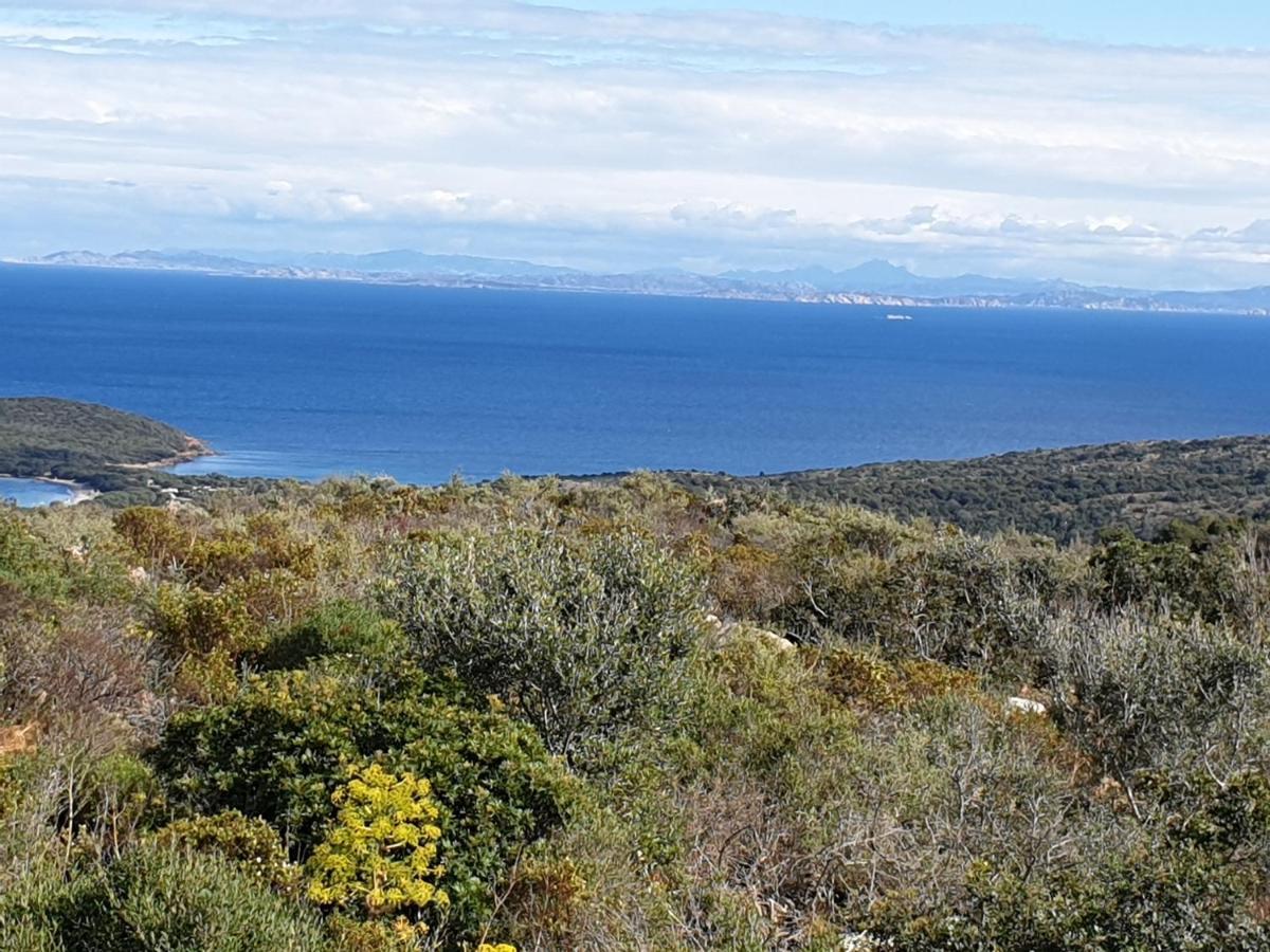 Casabellavista *